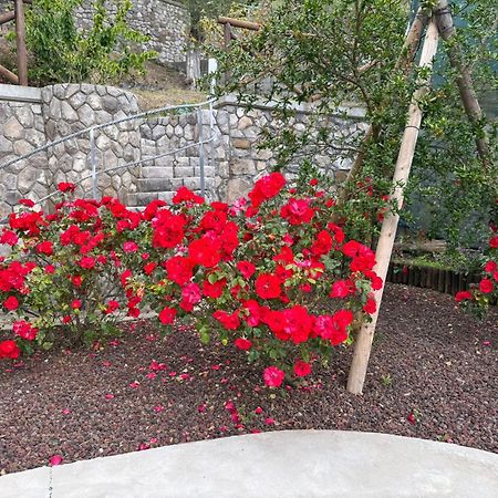 "Il Fienile Di Zia Teresa" Villa มัสซาลูเบรนเซ ภายนอก รูปภาพ