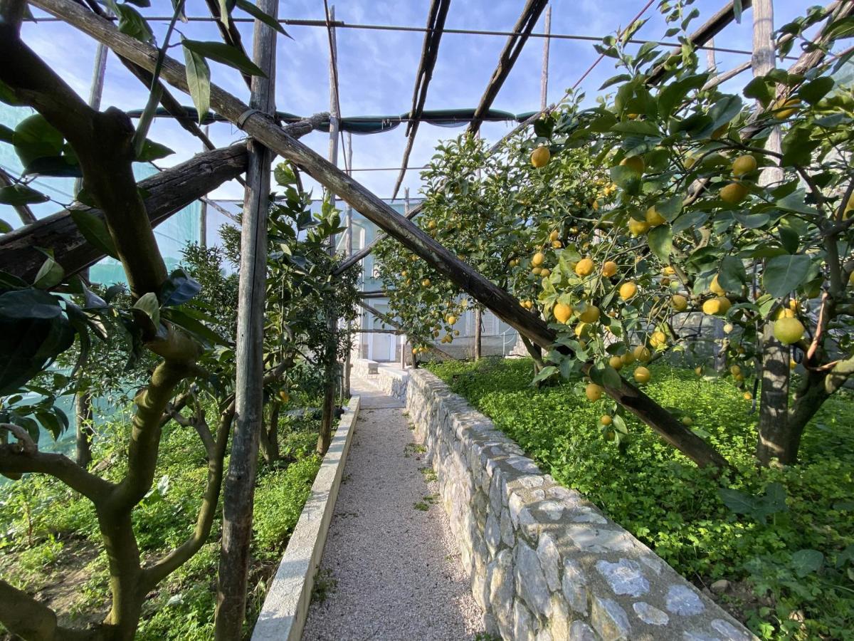 "Il Fienile Di Zia Teresa" Villa มัสซาลูเบรนเซ ภายนอก รูปภาพ