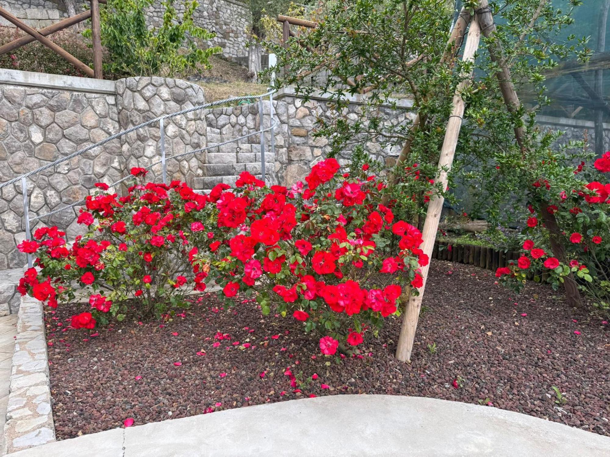 "Il Fienile Di Zia Teresa" Villa มัสซาลูเบรนเซ ภายนอก รูปภาพ